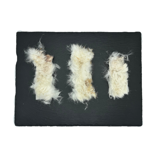 RABBIT HIDE STRIPS – Mad Butcher Meat Co.